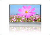 WINSTAR Display Co., Ltd.